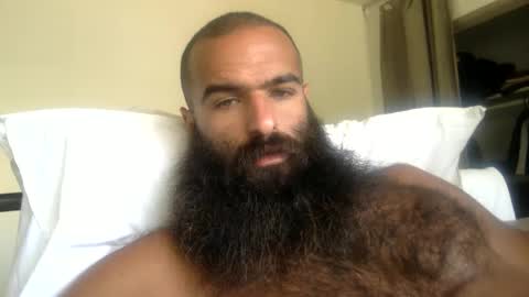 woof_wolf37 online show from May 2026 04:36:02 PM