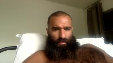 woof_wolf37 online show from May 2026 03:17:01 PM