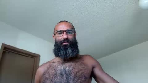 woof_wolf37 online show from June 2026 04:06:01 PM