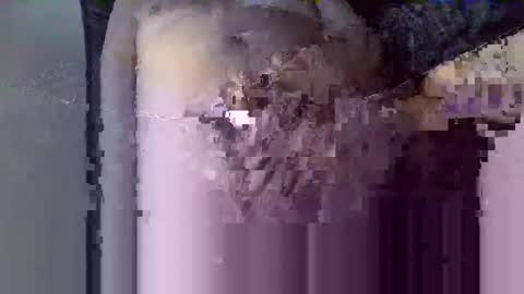 Snapshot of wowizowi69 chatting on March 2026 05:11:02 AM wowizowi69 online show from March 2026 05:11:02 AM