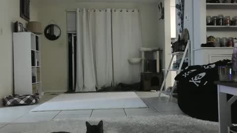 Snapshot of wrenleigh chatting on December 2024 09:22:02 AM Crystal Lake online show from December 2024 09:22:02 AM