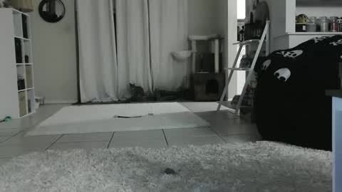 Snapshot of wrenleigh chatting on January 2025 09:08:01 AM Crystal Lake online show from January 2025 09:08:01 AM