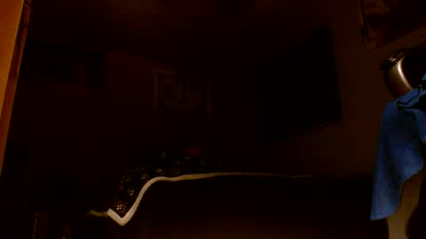 wvuguy1986 online show from March 2026 05:22:01 AM