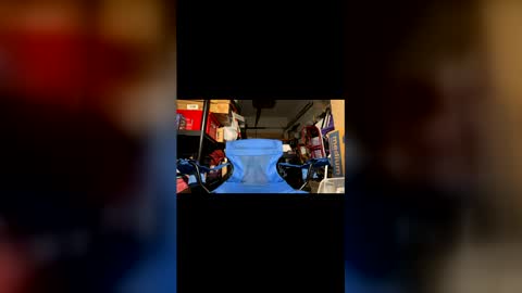 Wynter Heat online show from February 2026 12:43:02 PM