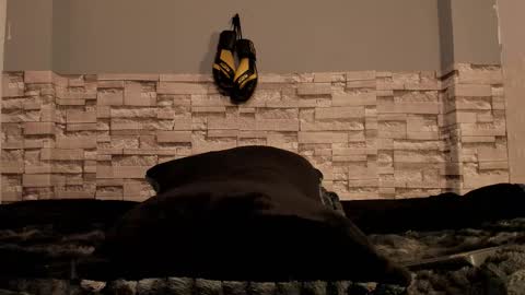 Harold online show from March 2026 08:45:01 PM