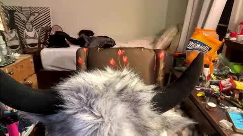 Snapshot of xander0zzz chatting on March 2026 05:58:02 AM xander0zzz online show from March 2026 05:58:02 AM