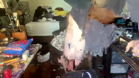 Snapshot of xander0zzz chatting on March 2026 01:43:02 PM xander0zzz online show from March 2026 01:43:02 PM