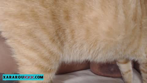 Snapshot of xararouxxx chatting on January 2025 11:27:02 PM S A R A 100K followers online show from January 2025 11:27:02 PM