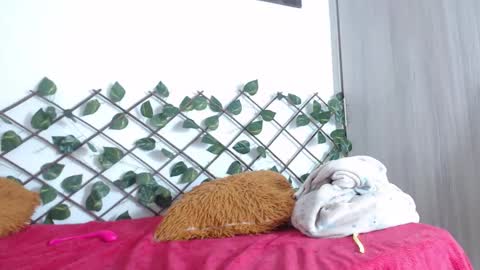 Snapshot of xararouxxx chatting on March 2025 02:43:02 PM S A R A 100K followers online show from March 2025 02:43:02 PM