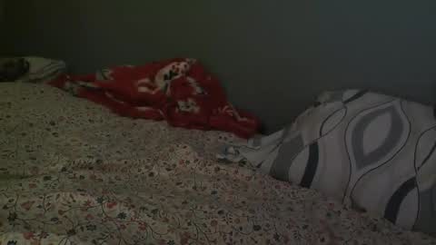 Snapshot of xarrup chatting on January 2026 12:49:02 AM xarrup online show from January 2026 12:49:02 AM