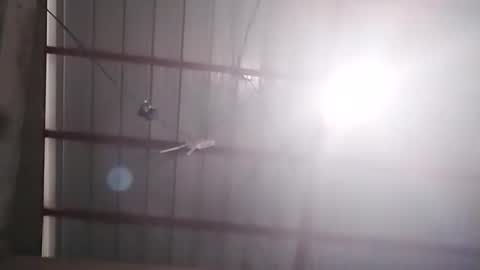 Bella Amor online show from February 2026 07:17:01 AM