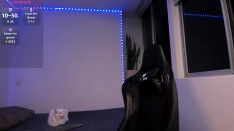 Xavier online show from June 2026 12:13:02 AM