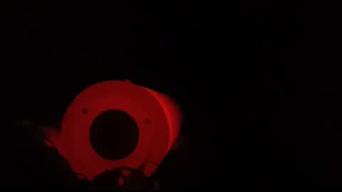 xbb3699 online show from April 2026 04:56:02 PM