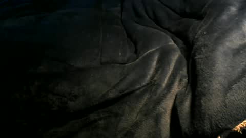 Snapshot of xbigtymerx chatting on January 2025 12:35:02 PM Toke online show from January 2025 12:35:02 PM