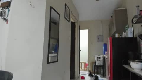 xdreamangel online show from January 2025 12:58:02 PM