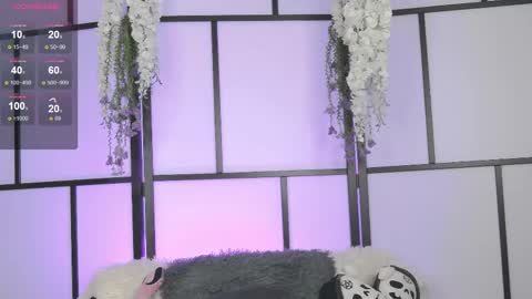 xenomy online show from February 2025 05:02:01 AM