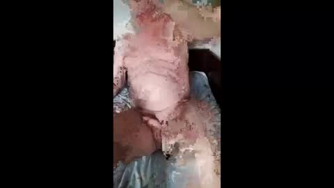 Snapshot of xfneh002 chatting on March 2026 11:49:02 PM Slava online show from March 2026 11:49:02 PM