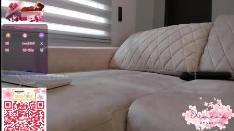 Snapshot of ximerosales chatting on February 2025 05:07:02 PM Ximena online show from February 2025 05:07:02 PM