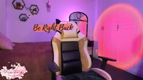 Snapshot of ximerosales chatting on February 2025 06:03:01 AM Ximena online show from February 2025 06:03:01 AM