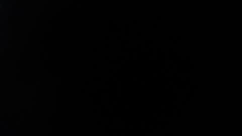 Snapshot of ximlopexx chatting on October 2025 10:17:01 PM ximlopexx online show from October 2025 10:17:01 PM