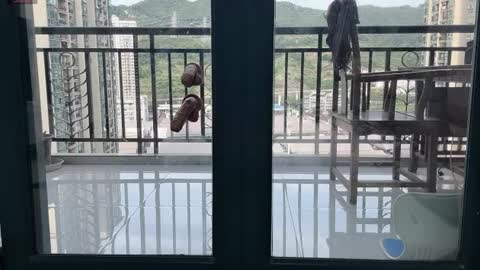 xinbao799322 online show from July 2026 09:24:01 AM