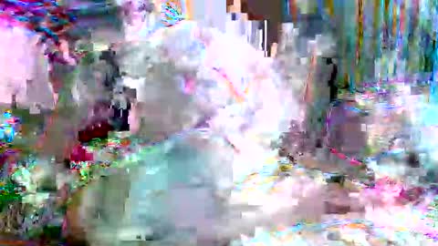 Snapshot of xixo6969 chatting on February 2026 05:15:01 AM xixo6969 online show from February 2026 05:15:01 AM