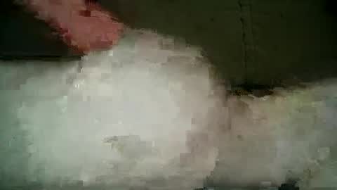 Snapshot of xlecram chatting on March 2025 09:59:02 PM Wendy online show from March 2025 09:59:02 PM