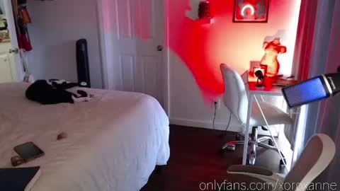 Snapshot of xoroxanne chatting on October 2025 09:30:01 PM xoroxanne online show from October 2025 09:30:01 PM