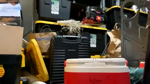 Xploringus online show from October 2025 06:39:01 PM