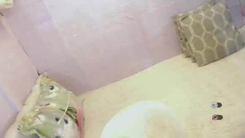 xsabbylicious69 online show from January 2026 12:36:02 AM