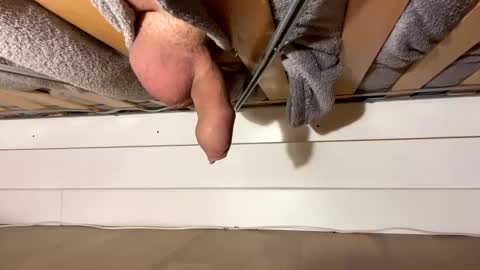 xtotoroto online show from December 2024 10:27:01 PM