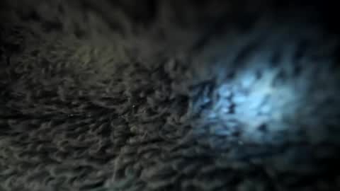 Danielle online show from January 2025 05:51:02 PM