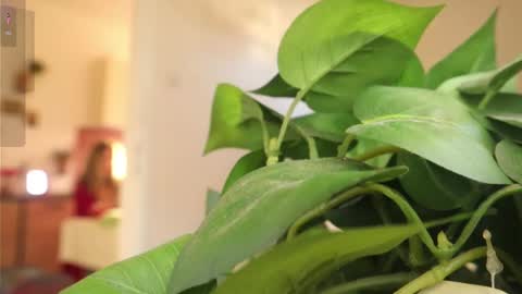 Xxxoka online show from March 2025 02:08:02 PM