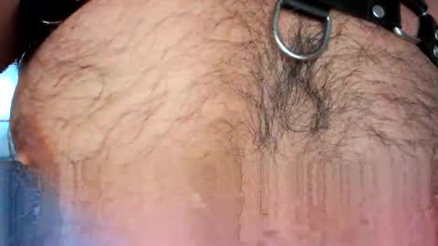 xxxotter online show from May 2026 12:12:01 PM