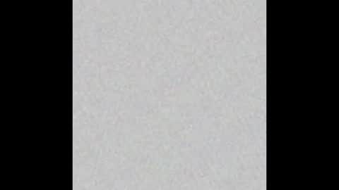 ScubaSteve online show from March 2025 09:57:01 AM