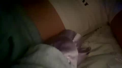 Snapshot of xxxsophiaday chatting on October 2025 08:56:02 AM xxxsophiaday online show from October 2025 08:56:02 AM