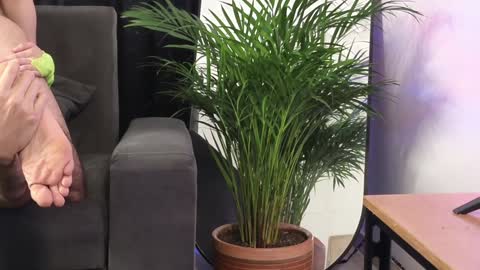 July and Fer online show from February 2025 08:49:01 PM