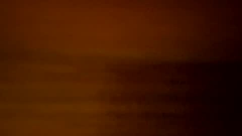 yacht3oy online show from December 2024 09:00:01 AM