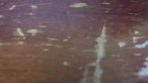 yagishirafe online show from November 2025 02:38:02 PM