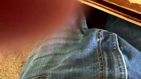 yagishirafe online show from July 2026 08:45:01 PM