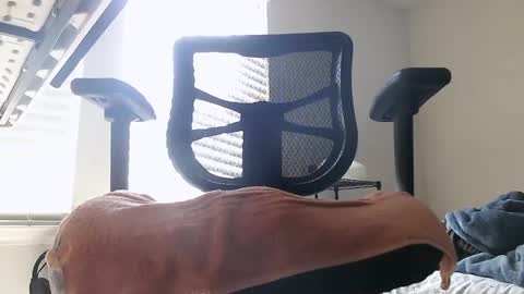 Snapshot of yahbuddy chatting on October 2025 07:55:01 PM yahbuddy online show from October 2025 07:55:01 PM