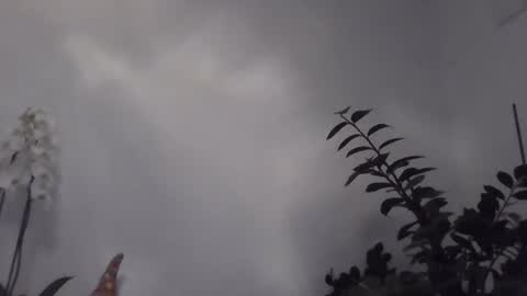 Snapshot of yakijoe chatting on March 2026 10:56:02 PM yakijoe online show from March 2026 10:56:02 PM