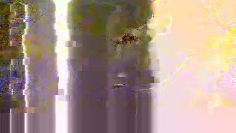 yangolox3 online show from May 2026 02:30:01 AM