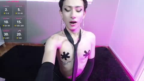 YANG online show from July 2026 11:17:02 AM