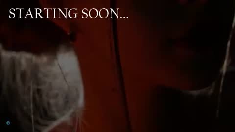 Kate online show from June 2026 06:19:01 PM