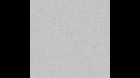 .     y e l l o w s n a k e s       . online show from November 2025 03:50:01 AM