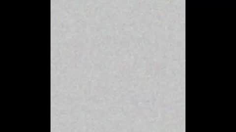 .     y e l l o w s n a k e s       . online show from November 2025 12:37:01 PM