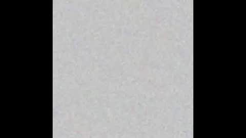 .     y e l l o w s n a k e s       . online show from November 2025 10:26:02 AM