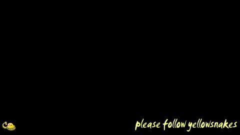 .     y e l l o w s n a k e s       . online show from December 2025 12:43:02 PM
