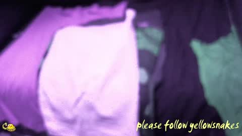 .     y e l l o w s n a k e s       . online show from December 2025 11:27:02 AM